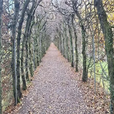 Belvene Regio Spa, Theux Holiday home *